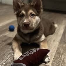 THE BEST 10 Veterinarians near CRESSKILL, NJ