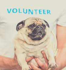 If the angry person is directing their malice towards you, the quickest way to reduce frustration is by making yourself seem more human. 60 Simple Ways To Make Someone Happy Today Happier Human