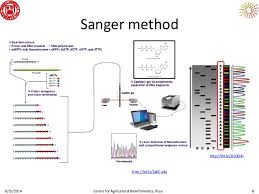 Sequencing Genome Assembly And The Sgn Platform