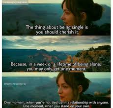 How To Be Single Movie Quotes Funny How To Be Single Movie Movie Quotes