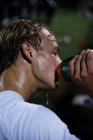 Saline's Zeke Gray leads Ann Arbor-area boys soccer all-state selections