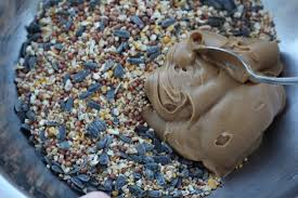 We had about six cups of rendered (melted) fat and we added roughly one cup of each dry ingredient. How Do You Make Bird Seed Cakes