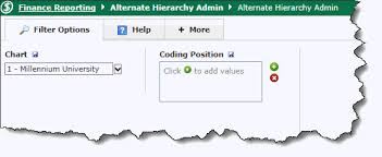 Creating Alternate Hierarchies