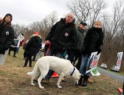 Ex-senator pays bear activists' fees, seeks pardon