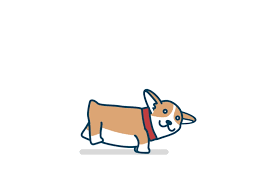 Corgi Run Corgi Gif Happy Birthday Dog Gif Corgi