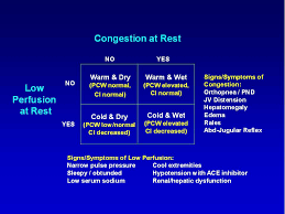 evaluation of the patient with decompensated heart failure