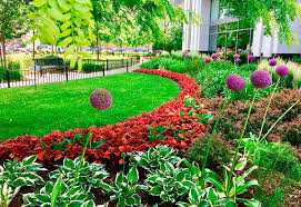 See more ideas practically garden. Front Walkway Landscaping Ideas For Commercial Outdoor Spaces