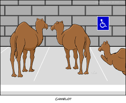 Things to do near camel park. Camelot Camelid Parking