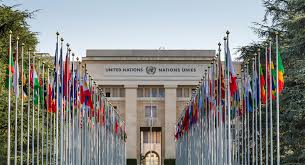 The un does this by. Un Careers 9 Popular United Nations Career Paths