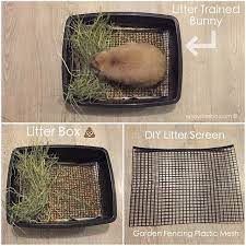 Make sure you measure your rabbit enclosure so it will fit. Marbee Moo Olive Taffy On Instagram This Is Not Necessary But Some Might Find It Useful This Is What We Use Pet Bunny Rabbits Bunny Care Bunny Care Tips