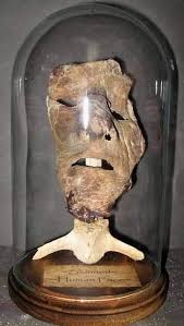 Check spelling or type a new query. A Mask Made By Ed Gein Creepy