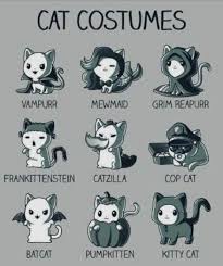 Drawing Ideas Cute Kitty 46 New Ideas Cute Cats Cat Costumes Cats