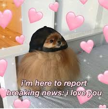 Pin By Fidela On Memess In 2020 Cute Love Memes Cute Memes Love Memes
