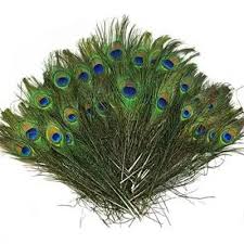 I think we would be able to see what the peacock themed decor is for this bedroom! 36 Peacock Decor Ideas 2021 Decorating Guide