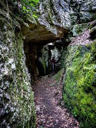 These 7 Trails In Alabama Will Lead You To Unforgettable Places Alabama Vacation Alabama Travel Places To Go