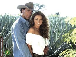Destilando Amor Angelica Rivera Celebrities David Zepeda