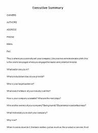 Executive Summary Example Executive Summary Example Executive Summary Summary Writing