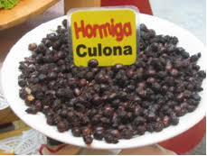 Resultado de imagen para hormigas culonas