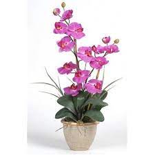 Nearly Natural Double Phalaenopsis Silk Orchid Flower Arrangement Orchid Walmart Com Silk Orchids Arrangements Orchid Flower Arrangements Silk Orchids