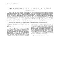 Image result for Ellipanthus