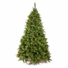 We did not find results for: 10 11 12 Foot Christmas Trees Hayneedle