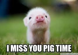 I Miss You Pig Time Baby Pigs Cute Animals Cute Baby Animals