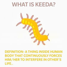 Black And Yellow Millipede India No Photo Description Available Inside Human Body Instagram Human Body