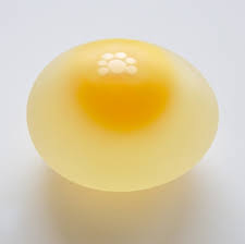 Vinegar Is To An Eggshell What Ocean Acidification Is To Marine Ecosystems Science On A Sphere