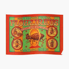 › flea & tick control. Flea Posters Redbubble