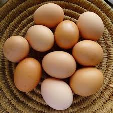 Image result for banda la kuku kienyeji