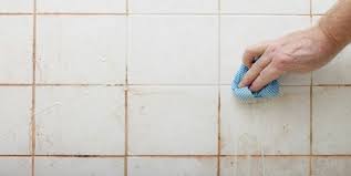 Duşakabin küf temizliği, banyo hijyeninin önemli bir parçası olduğu için oluşan küfün banyonun diğer alanlarına küf, bir tür mantar çeşidi olduğu için duşakabin küf temizliği zamanında yapılmazsa tüm fayanslara, banyo perdesine, silikon kaplı bölgelere yayılabilir. Kararan Fayans Aralari Nasil Temizlenir