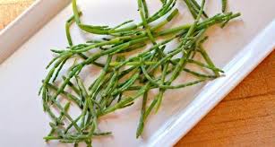 Image result for Asparagus richardsiae