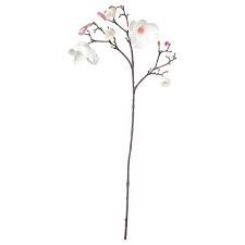 Maybe you would like to learn more about one of these? Smycka Artificial Flower Magnolia Pink 110 Cm Ikea