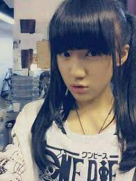 One Piece Lover's Indonesia