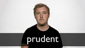 Sagacious in adapting means to ends; Prudent Definition And Meaning Collins English Dictionary
