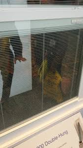 Hours may change under current circumstances Window World Of Central Louisiana Home Facebook