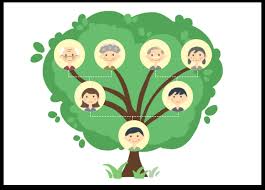 Create new family or import gedcom. Free Family Tree Maker Record Your Family S Story Visually Edraw