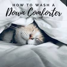 You can wash it in the bathtub with warm water and detergent. How To Wash A Down Comforter Or Duvet Dengarden