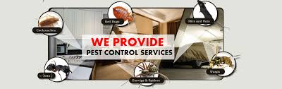 Got cockroaches and need to call in a pro? Neelam Pest Control Services