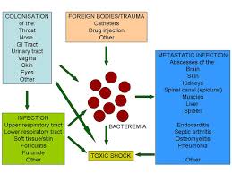 clinical infectious disease introduction