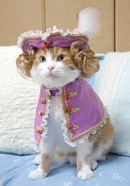 100 Genius Pet Costumes For Halloween 100 Genius Pet Costumes For Halloween Brit Co Pet In 2020 Pet Halloween Costumes Pet Costumes Halloween Animals
