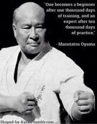 A Martial Artist S Training Beginner Training Expert Practice Mindset Selfdiscipline Journey Karate Quotes Martial Arts Quotes Kyokushin Karate