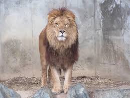 産経新聞：産経ニュース