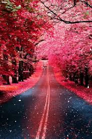 Check spelling or type a new query. ØµÙˆØ± Ø®Ù„ÙÙŠØ§Øª Ù…ØªØ­Ø±ÙƒÙ‡ Ø§Ø¬Ù…Ù„ ÙƒÙˆÙƒØªÙŠÙ„ Ø®Ù„ÙÙŠØ§Øª Ù…ØªØ­Ø±ÙƒØ© ØµÙˆØ± Ø¨Ù†Ø§Øª