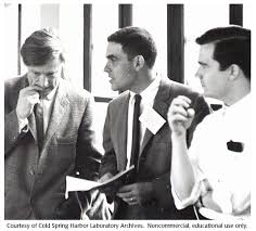 Gallery 22: John Cairns, Phil Leder and Robert Thach, 1966 :: CSHL DNA  Learning Center