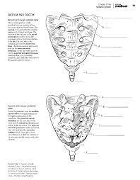 Download Kaplan Anatomy Coloring Book Pdf Anatomy Coloring Book Anatomy Coloring Pages Coloring Books