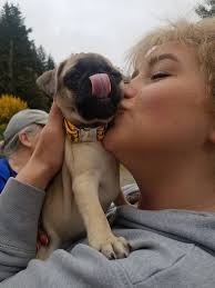 Hi, here are some beautiful pictures and video I took of my beautiful girl  buttercup 🐿