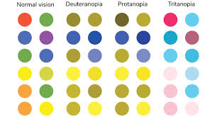 Image result for Color Blindness