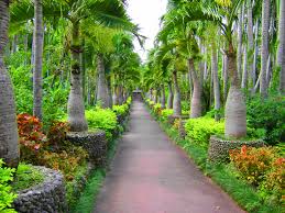 Southeast Botanical Gardens Okinawa Japan Garten