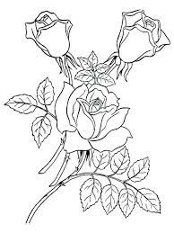 A Rose Coloring Page Rose Coloring Pages Garden Coloring Pages Flower Coloring Pages